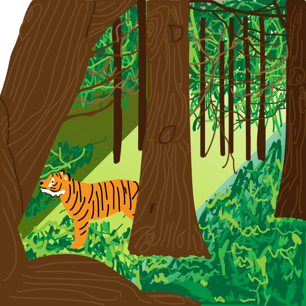 森林のトラ